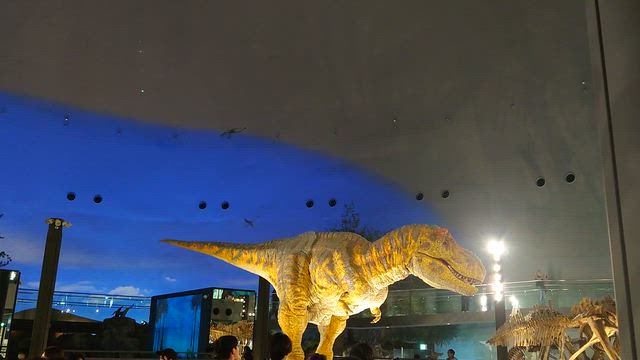 恐竜の動画の記事動画