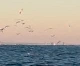 休み明けの記事動画