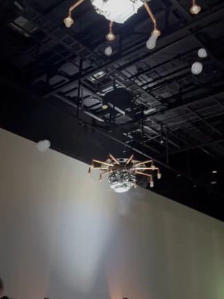 お盆休み の出来事。の記事動画