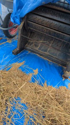 一粒のお米も無駄に出来ないの記事動画