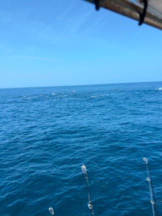 キャスティングの記事動画