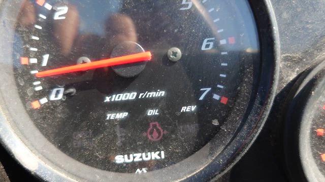 2025/09/03 利根川釣行の記事動画