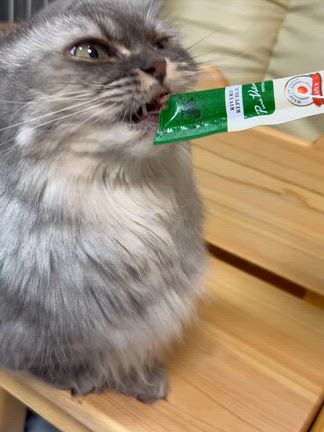 2025/10/24の記事動画