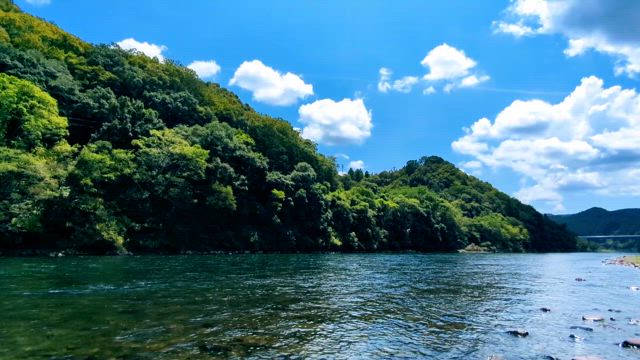 四万十川の夏2025の記事動画