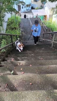 少しずつ変わる日常の記事動画