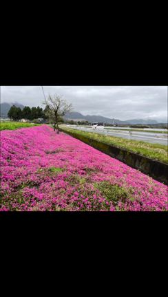 2024/04/07の記事動画