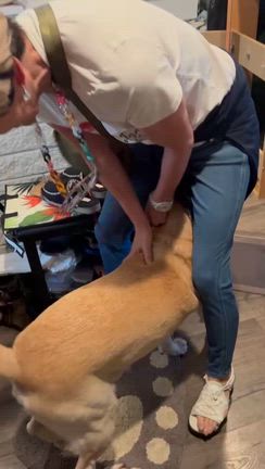 ハワイのボーイフレンドの記事動画