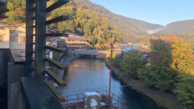 京都・成長してたナムの切り株の記事動画