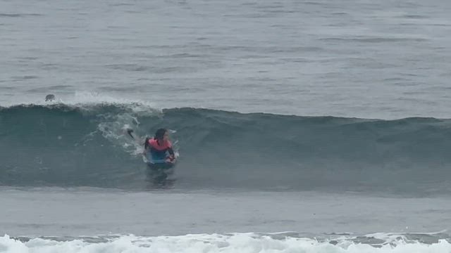 おはようございます。の記事動画