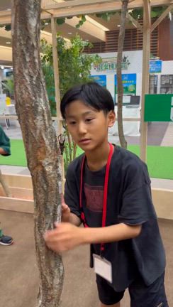 夏休みの悲劇の記事動画