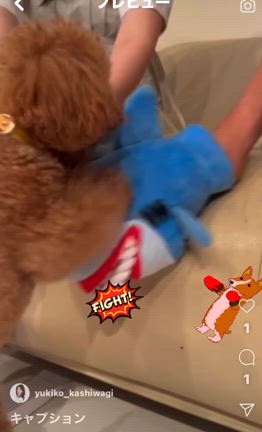 ボリューム！の記事動画