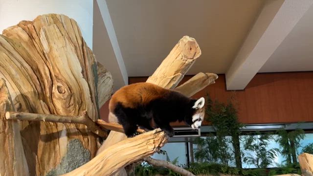 ■方位取りの旅行において「一番の重要ポイント」の記事動画