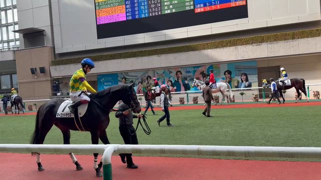 福島競馬。の記事動画