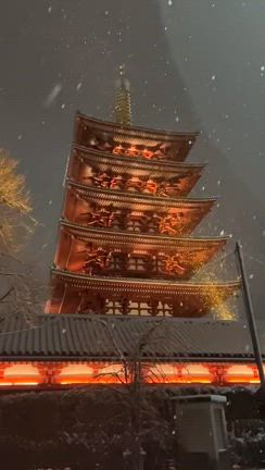 雪すっげー！！＠東京23区。の記事動画