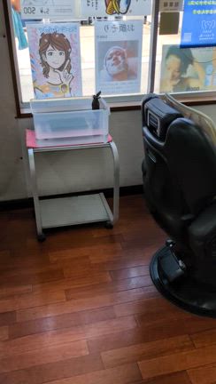 クサガメがいる床屋ですの記事動画