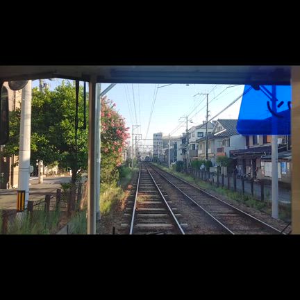 グルメフェスにいってきましだ①の記事動画