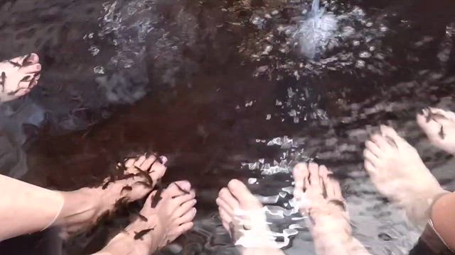 かんぱち号に乗って湯布院満喫‼︎の記事動画