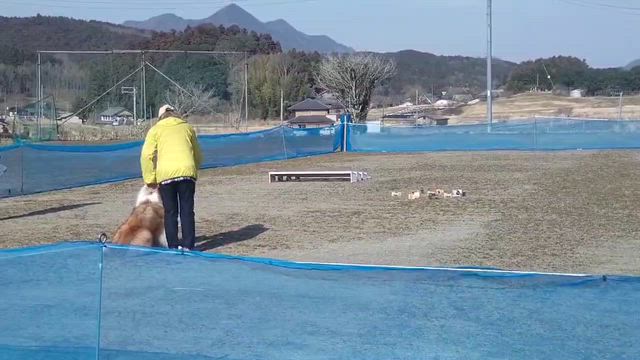 奈良支部訓練競技会の記録の記事動画