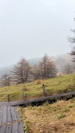 池の平湿原も雪やこんこの記事動画