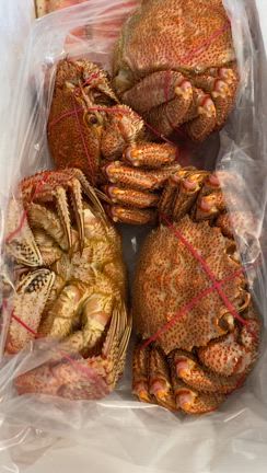 蟹が届いてテンション上がる妻の記事動画