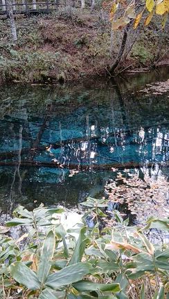 【追記】神の子池に行ってきました♡【道東ドライブ】の記事動画
