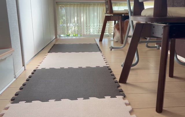 病院？オイラは留守番なんやってさの記事動画