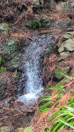 ひとけのない高尾山は霊山でした。の記事動画