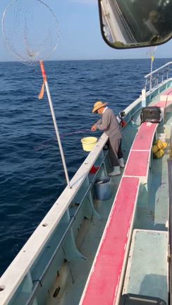 おはようございます。開始早々ビックリ！の記事動画