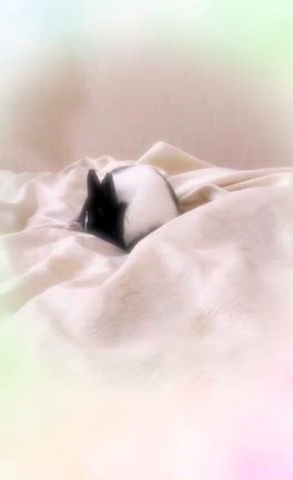 あまあまに育てるの記事動画