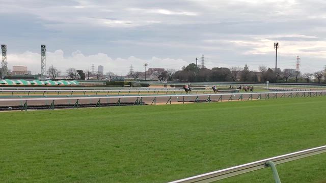 中山競馬場に行ってみた。ロイヤルファミリー展。来週は有馬記念。の記事動画