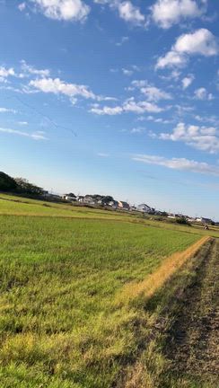 いいお天気の記事動画