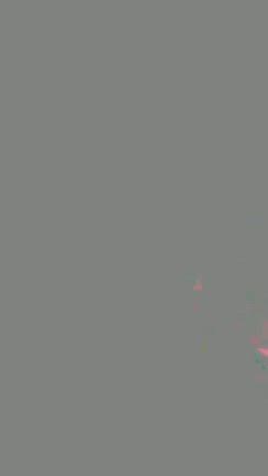 オンディーヌ美帆場当たりの記事動画