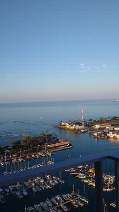 爽やかな朝の記事動画