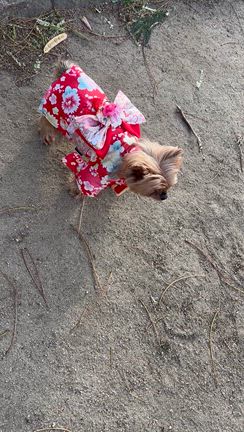 良い時間が。。の記事動画