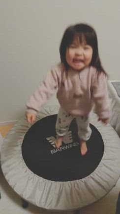 2歳児の体力削ってみた結果の記事動画