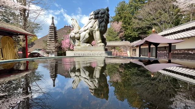 子の権現天龍寺（埼玉県飯能市）の写真と御朱印③の記事動画