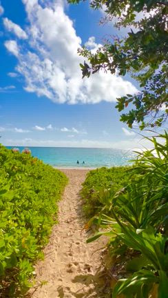 ☆ラニカイ☆ ハワイ『ラニカイブルーイング』、3種類の日本初上陸ビールを