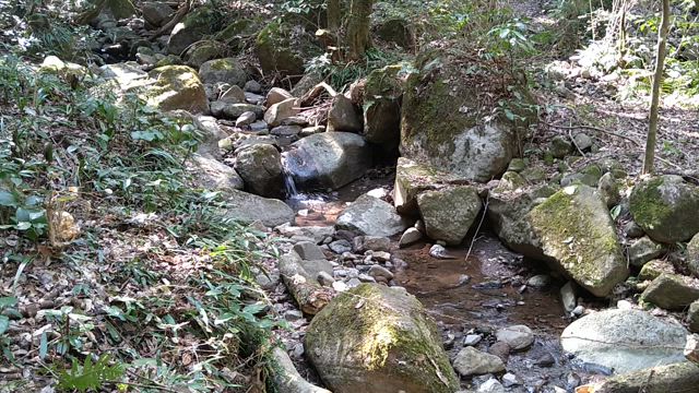 白銀坂の記事動画