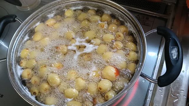 ナツメの甘露煮の記事動画