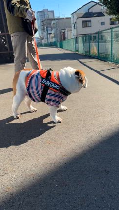 病院の記事動画