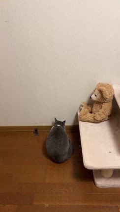 1/25の空の記事動画