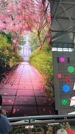 【50代からの韓国旅行記】仁川空港でまさかの大慌て！帰国直前に走り抜けた理由の記事動画