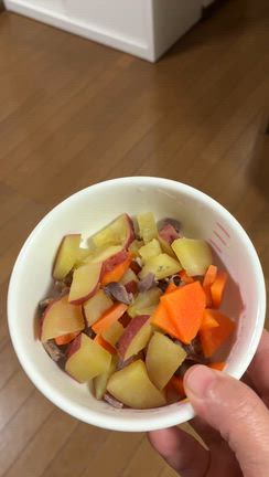 【カミングアウト笑】私の多忙のもう一つの理由。の記事動画