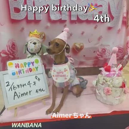 ミッチョン（スタッフ藤本）ワンバナ卒業イベント！今日3/19明日3/20！愛犬猫と！これからも！の記事動画