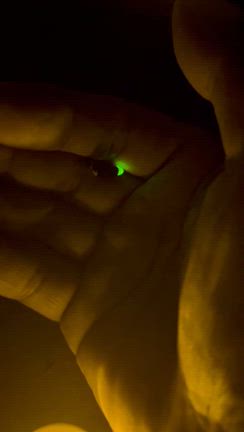 ほっほっ♪の記事動画