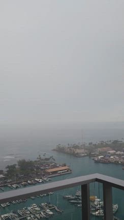 雨のハワイですの記事動画