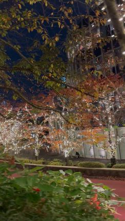 MIDTOWN CHRISTMAS　2025　東京ミッドタウンのクリスマスの記事動画
