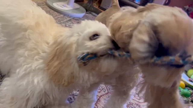 やっちゃんさんのプロフィールページ