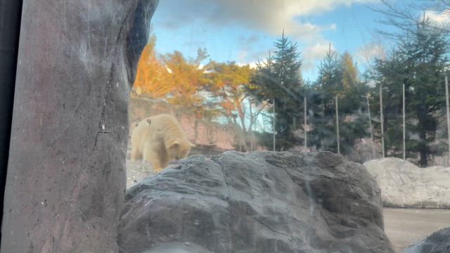 小さなヘルプサインに気づいたとき ＠ タイマッサージ。の記事動画