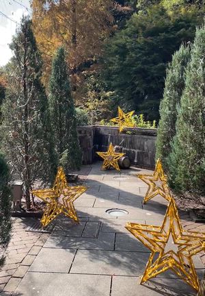 【神戸】クリスマスマーケットへ⭐︎の記事動画